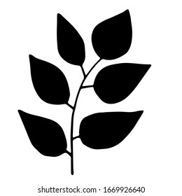 Set of Simple hand drawn doodles. ash leaves silhouette vector. Black thick stroke. vector illustration isolated on white background.