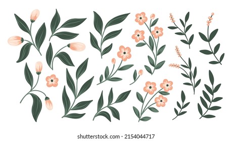 Set with simple hand drawn plants, small flowers, twigs with leaves and herbs. Decorative wild plants isolated on white background. Vector illustration.