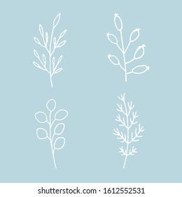 Set of simple hand-drawn contours of twigs and berries 