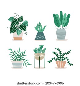 set of simple houseplant illustration in flat design, houseplant collection template vector