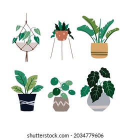 set of simple houseplant illustration in flat design, houseplant collection template vector