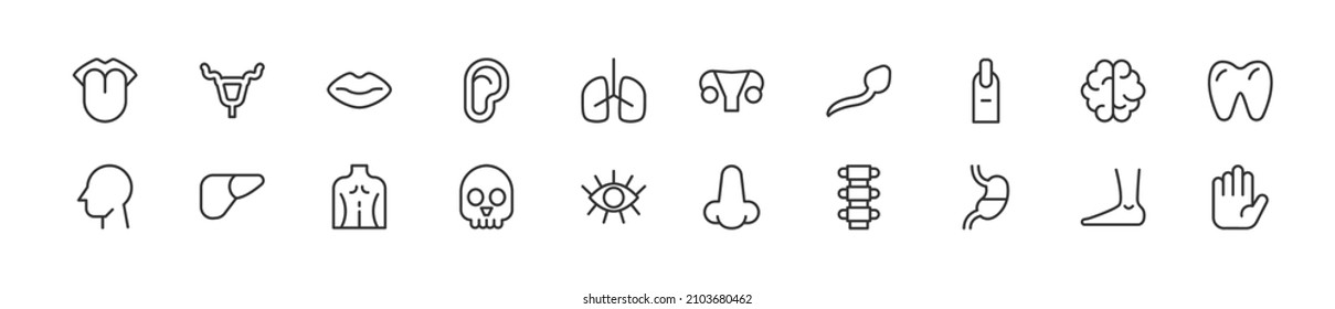 Set of simple human body line icons. Outline stroke object. Linear signs pack. Perfect for web apps and mobile.