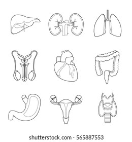 Set of simple human internal organs line art icons on white background vector illustration. Viscera set