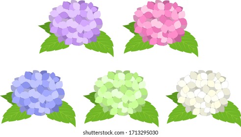 Set of simple hydrangea illustrations