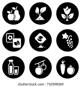 Set of simple icons on a theme Food, natural, eco-friendly, grown, fruits, vegetables, vector, set. White background
