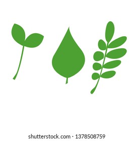 Set simple illustration of three fresh green tree leaf . Can be used for postcards, flyers and posters. Garden element, ecology sign