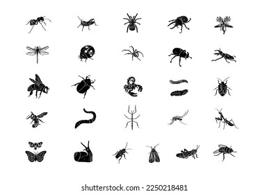 Set of simple insect. Engraving illustrations.