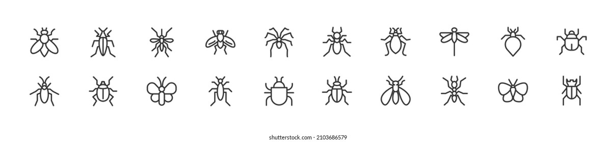 Conjunto de iconos simples de la línea de insectos. Objeto de trazo de contorno. Envase de signos lineales. Perfecto para aplicaciones web y móviles.