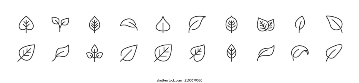 Set of simple leaf line icons. Outline stroke object. Linear signs pack. Perfect for web apps and mobile.