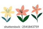 A set of simple lilly flowers isolated flat illustration.