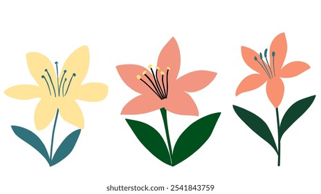 A set of simple lilly flowers isolated flat illustration.