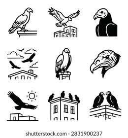 A set of simple line art drawings depicting vultures and eagles in various poses and settings.