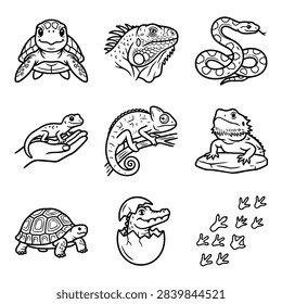 A set of simple line art drawings featuring various reptiles like turtles iguanas chameleons and snakes along with animal tracks.