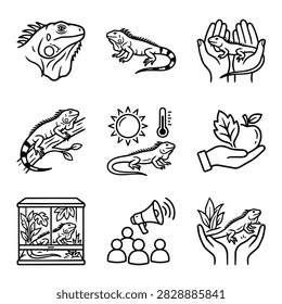 A set of simple line art icons depicting iguanas in various scenarios and related elements.