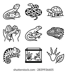 A set of simple line art illustrations featuring various reptiles and related elements.
