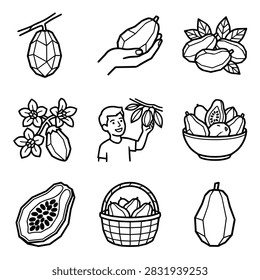 A set of simple line drawings depicting papayas in various forms and contexts, including whole fruits, sliced fruits, on branches, and in a basket.