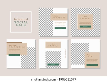 Set of simple and minimal banner template for social media. Botanical theme.