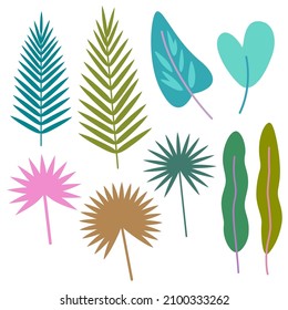 Set of simple minimalistic tropical leaves isolated on white background. Vector illustration.