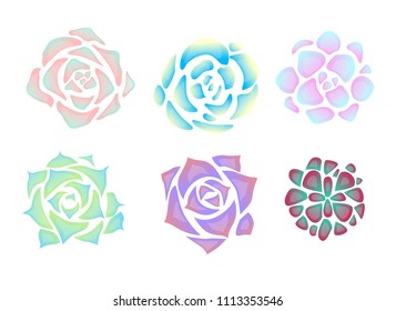 set of simple neon succulents with glare. View from above. Objects separate from the background. Vector element for creating postcards, patterns and your design.