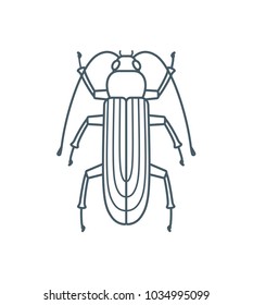 A set of simple outline beetle icons, editable stroke