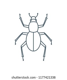 A set of simple outline beetle icons, editable stroke