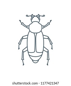 A set of simple outline beetle icons, editable stroke