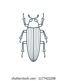 A set of simple outline beetle icons, editable stroke