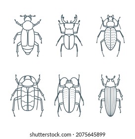 A set of simple outline beetle icons, editable stroke