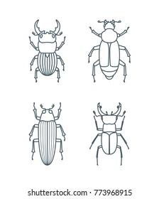 A set of simple outline beetle icons, editable stroke