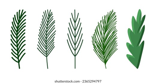 Set of simple pine or fir branches, winter holidays design element, vector