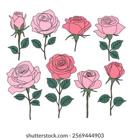 Set of Simple Pink Roses Illustration On a White Background