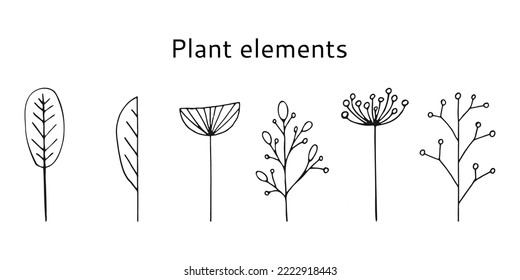 Set of simple Plant elements isolated on a white background. Vector illustration.