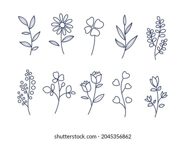 Set of simple plant illustrations Line drawing 