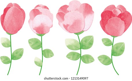 Set of simple, romantic roses vectors in watercolor style.