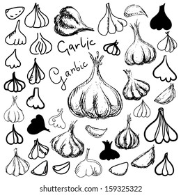 Set simple sketch black icons garlic isolated on white background. Vegetables. Food. Hand drawn. Silhouette, color, line. Abstract design logo. Logotype art - vector