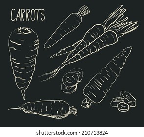 Set simple sketch icons carrots isolated on white background. Vegetables. Food. Hand drawn vector