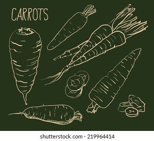 Set simple sketch icons carrots isolated on white background. Vegetables. Food. Hand drawn vector