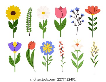 Set of simple spring differents flowers, herbs, leaves. Meadow floral plants, wild and garden flowers. Perfect for a decorated poster, card, pattern. Flat vector elements.