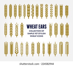 Set of simple and stylish Wheat Ears icons and design elements for beer, organic local farm fresh food, bakery themed design 
