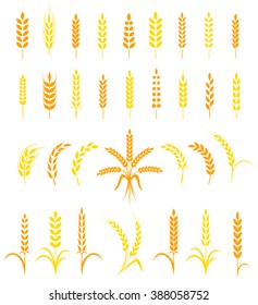 Set of simple and stylish Wheat Ears icons and design elements for beer, organic local farm fresh food, bakery themed design.