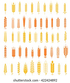 Set of simple and stylish Wheat Ears icons and design elements for beer, organic local farm fresh food, bakery themed design.