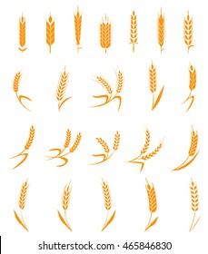 Set of simple and stylish Wheat Ears icons and design elements for beer, organic local farm fresh food, bakery themed design.