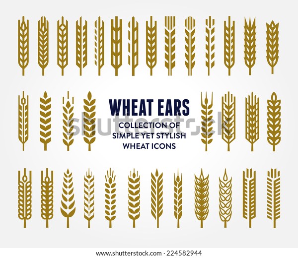 Set of simple and stylish Wheat Ears icons and design\
elements for beer, organic local farm fresh food, bakery themed\
design 