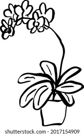 set of simple summer flowers drawings. abstract flower illustration. hand drawn vector art. black white illustration