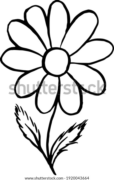 set of\
simple summer flowers drawings. abstract flower illustration. hand\
drawn vector art. black white\
illustration
