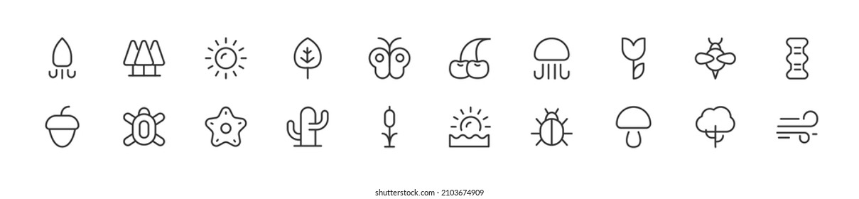 Set of simple summer nature line icons. Outline stroke object. Linear signs pack. Perfect for web apps and mobile.