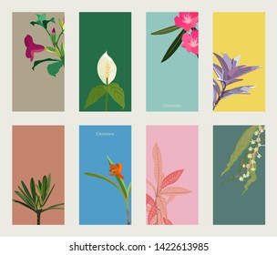 Set of simple sweet tropical leaves and flowers cards design, hand draw style illustration