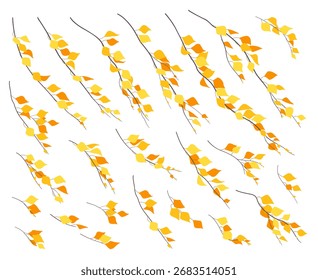 Conjunto de ramos de árvore simples com folhas amarelas e laranja no vento isolado no fundo branco. Folhagem de outono chorando árvore de bétula. Ilustração de vetor de planta decídua em estilo plano. 