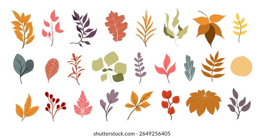 Um conjunto de galhos simples e folhas em cores de outono em um fundo branco. Elementos decorativos. Vetor.