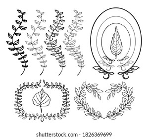 Set of simple vector design elements. Hand drawn sketch of foliage, branches and frames. Black and white flora specimens